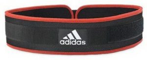 Flipkart- Buy Adidas Lumbar Support (XXL, Black) at Rs 555