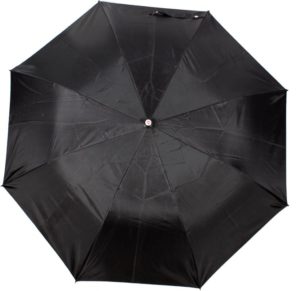 Flipkart - Buy Citizen 21 Auto Umbrella (Black) at Rs 99 only