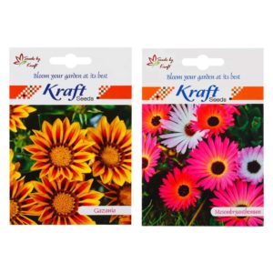 Amazon- Buy Kraft Seeds 2 in 1 Gazania Improved Ks Spl and Ice Flower at Rs 103
