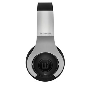 Brainwavz HM9 Hi-Fi Noise Isolating Headphones