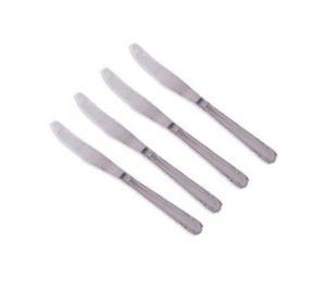 Classic Essentials Stainless Steel Butter Knife Set, 4-Pieces, Silver at rs.99