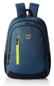 Gear Navy Blue and Green Casual Backpack