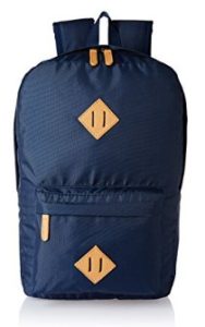 Levi's Fabric 26 cms Blue Travel Garment Bag