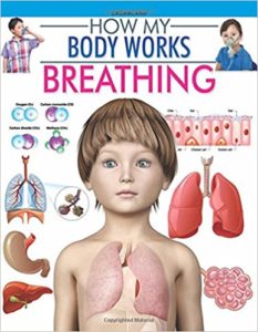 Amazon- Buy How my body works Series Book