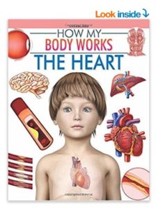 The Heart (How My Body Works) Paperback at rs.19