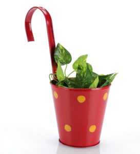 Pepperfry- Buy Red Metal Polka Dots Railing Planter Pot at Rs 129