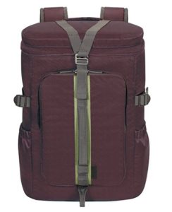 Targus Seoul 14-inch Laptop Backpack (Plum) at rs.717