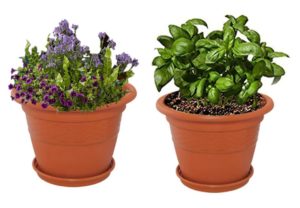 Pepperfry- Brown Plastic 10 Inch Heavy Duty Planters Pots - Set of 2 at Rs 119