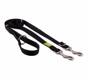 Amazon- Buy Dogspot Premium Training Leash at Rs 106