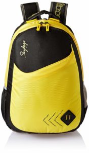Skybags Casual Backpack