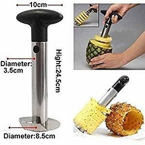 Trendz ™ Imported Stainless Steel Pineapple & Fruit Cutter Slicer 