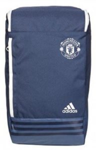 Adidas 35 Ltrs Minblu and Cwhite Casual Backpack (S95100NS)