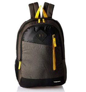 Gear 30 Ltrs Grey and Yellow Casual Backpack at rs.416