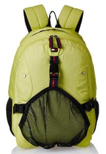 Tommy Hilfiger Rover 22.08 Ltrs Lime Laptop Backpack at rs.657