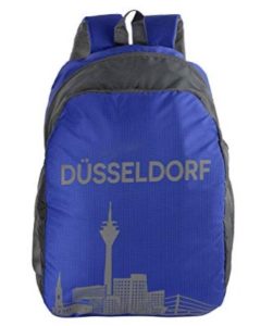 Dussledorf Polyester 20 Liters Grey and Blue Laptop Backpack at rs.349