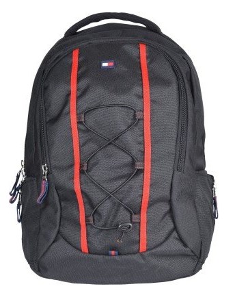Tommy Hilfiger Alpine 22 liters backpack at rs.708
