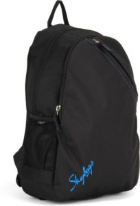 Flipkart- Buy Branded Bags & Backpacks at Flat Rs 599