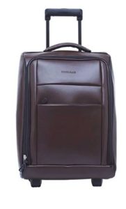 BagsRUs Synthetic 34.010599999999997 cms Brown Softsided Cabin Luggage (CA114FBR)