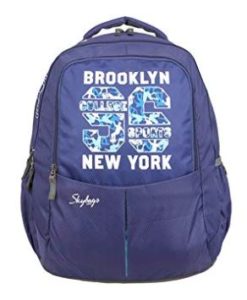 Skybags 31 Ltrs Blue Casual Backpack (BPBOLP1BLU)