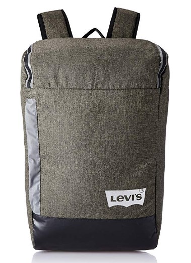 Levi's Fabric 32 cms Grey Backpack (38004-0079) 