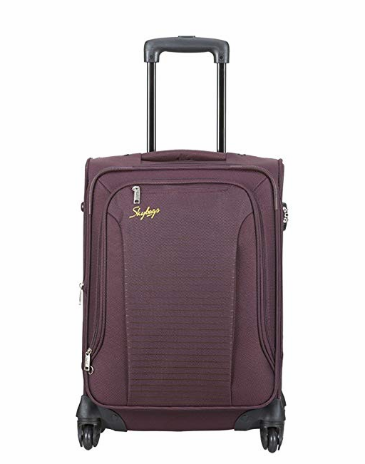 Skybags Footloose Napier Polyester 66 cms Raisin Softsided Suitcase (STNPW66ERRN) 