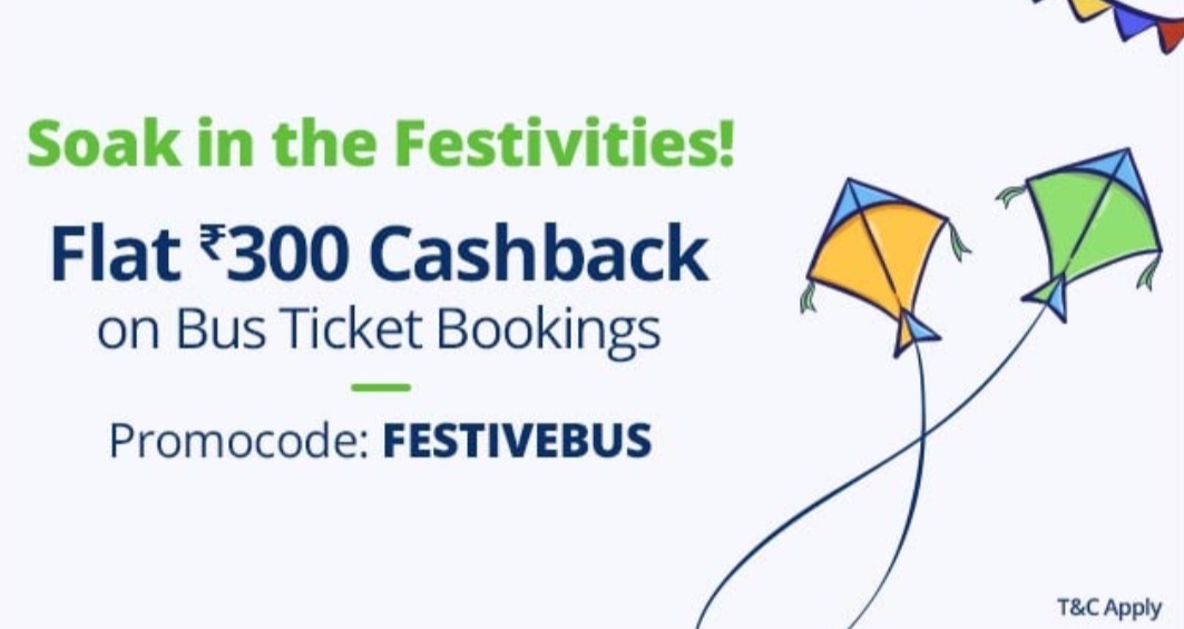 festivebus bus ticket