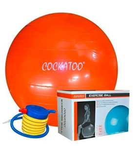 Cockatoo Anti-Burst Gym Ball