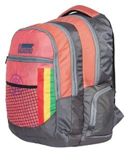 Devagabond 42 Ltrs Peach School Backpack