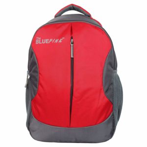 Dussledorf Leonardo 22 Liters Red and Grey Laptop Backpack '