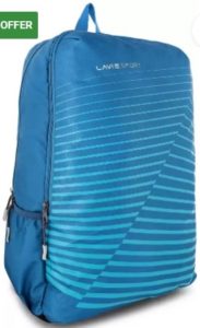 BAEI135043N3 25 L Backpack  (Blue)