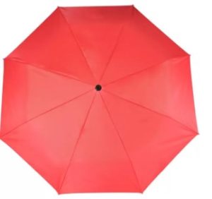 Flipkart SmartBuy 3 fold Auto Open Nylon Umbrella  (Red)
