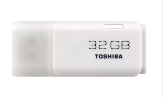 Toshiba TransMemory - U202 32.0 GB Pen Drive  (White)