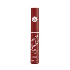 Amazon- Absolute New York Lip Polish, Deep Red, 6g  at Rs 160