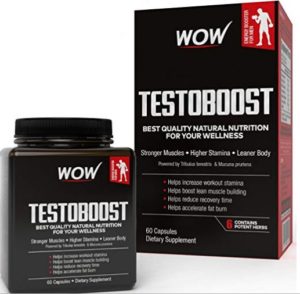 WOW Testoboost 550mg - 60 Vegetarian Capsules