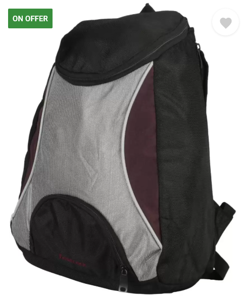 Fastrack backpack