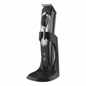 Havells BT5200C Li-ion Cord and Cordless Beard Trimmer (Black)