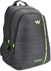 WC 1 Flare 35 L Backpack  (Black)