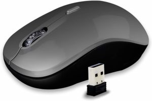 Amazon- Buy Zebronics Zeb-Zoom Wireless Mouse