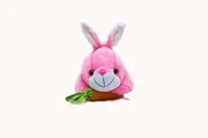 Benny N Bunny Rabbit with Carrot Stuffed Rs 123 amazon dealnloot