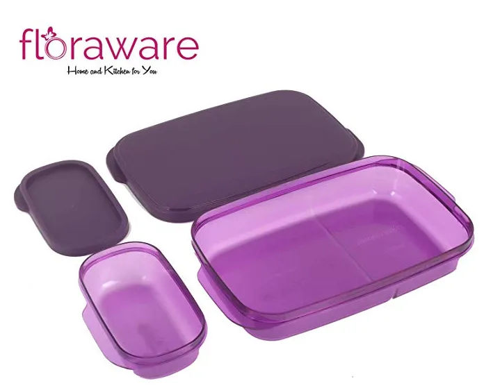 Floraware Max Fresh Super Air Tight Lunch Box Set, Purple