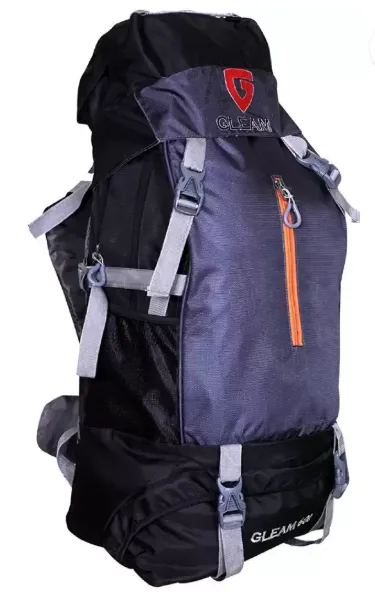Gleam 2209 backpack