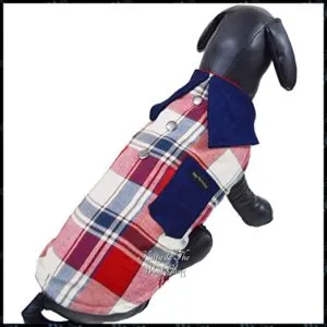 Kitty The Woof Gang Smart Red Blue Rs 1 amazon dealnloot