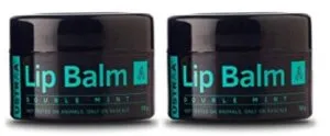 Ustraa Double Mint Lip Balm, 20 g (Pack of 2)