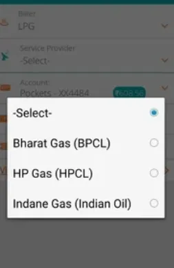 icici pockets indane