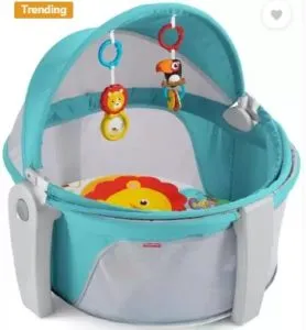 Fisher-Price On-The-Go Baby Dome Bouncer 