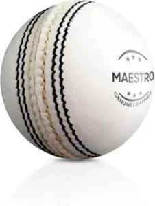 Adrenex by Flipkart Maestro 2 panel White Rs 224 flipkart dealnloot