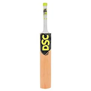 DSC Condor Scud Kashmir Willow Cricket Bat Rs 994 amazon dealnloot
