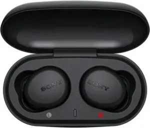 Sony WF XB700 With 18 Hours Battery Rs 7999 flipkart dealnloot