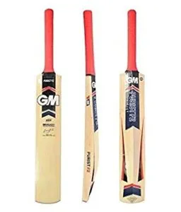 GM Purist 202 Kashmir Willow Cricket Bat Rs 849 amazon dealnloot