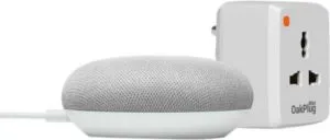 Google Nest Mini with Oakter WiFi Smart Rs 3199 flipkart dealnloot